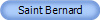 Saint Bernard